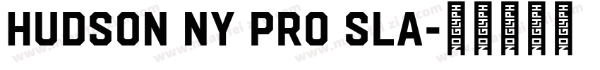 Hudson NY Pro Sla字体转换
